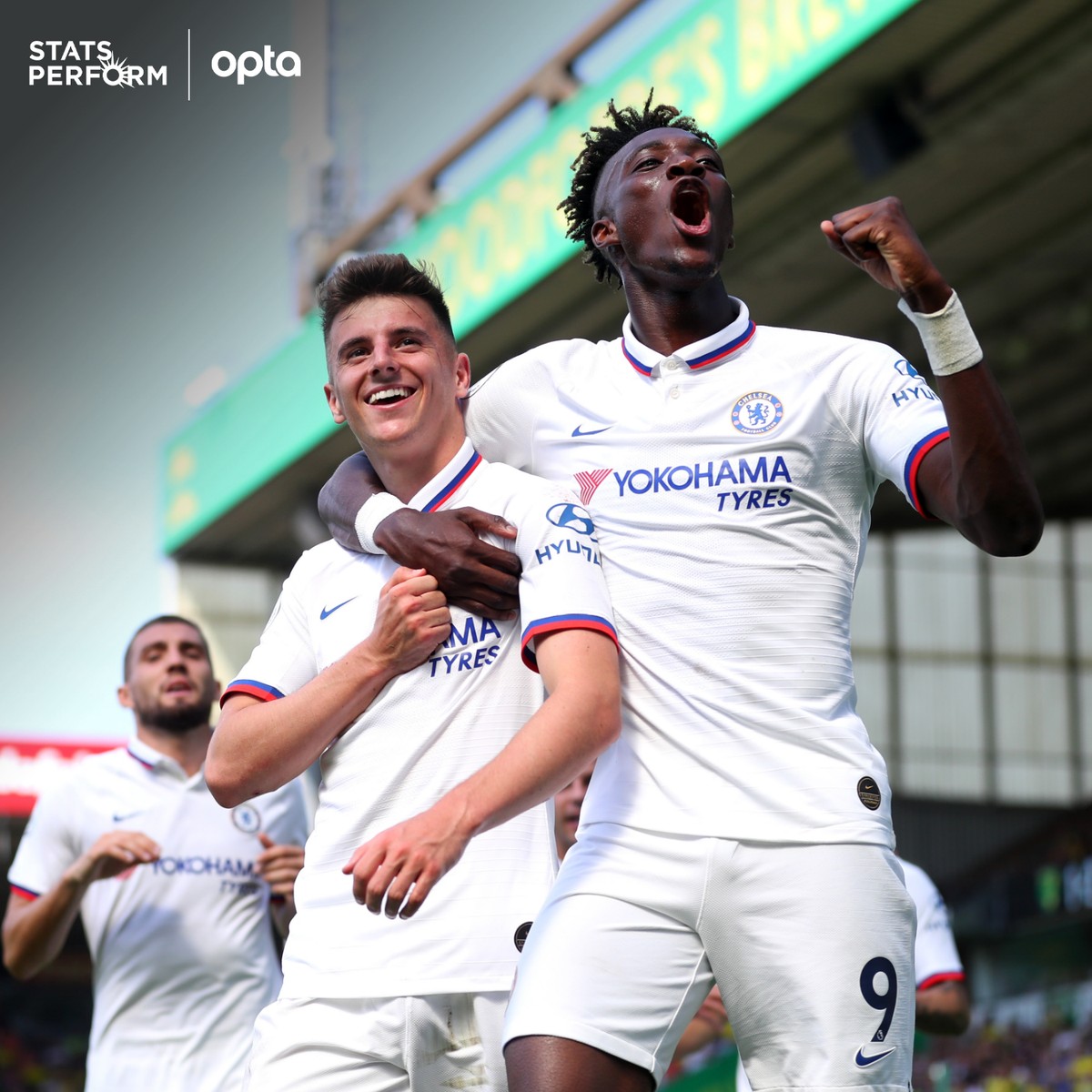 会到踢球的 会到踢球的